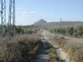 9_chemin_plantation